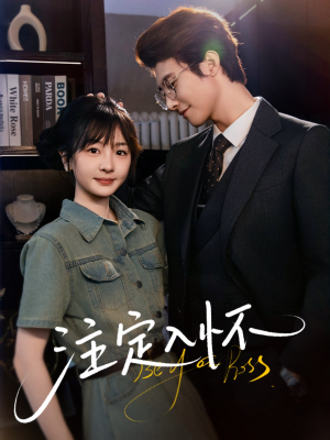 注定入怀（70集）免费热门短剧