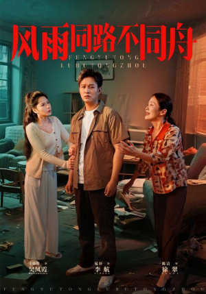 风雨同居不同舟（32集）分享好看的短剧