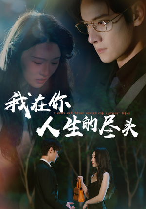 我在你人生的尽头（60集）在线看完整版