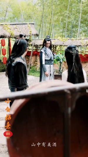 小白招亲（78集）短剧在线更新