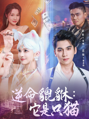逆命貔貅它是只猫（35集）精彩短剧又来了