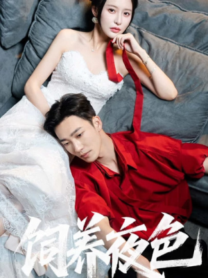 饲养夜色（86集）免费看全网短剧