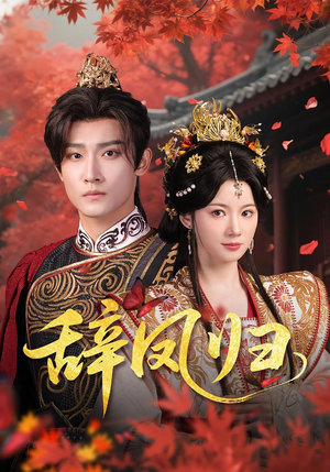 辞凤归（70集）追短剧关注我