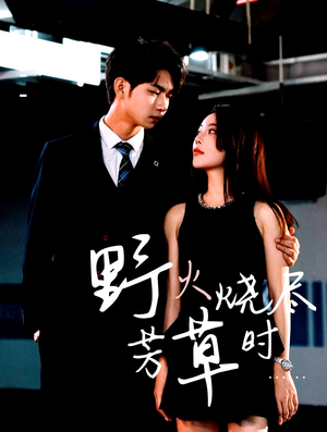 野火烧尽芳草时（65集）热播短剧来袭