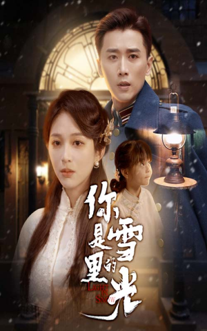你是雪里的光（64集）在线看免费版