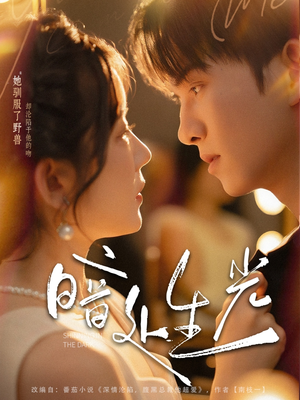 暗处生光（82集）爆款热门短剧