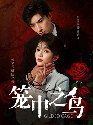 笼中之鸟（70集）一共多少集