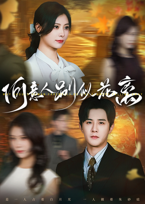 何意人别似花离（61集）精彩短剧合集