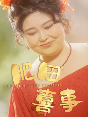 肥田喜事（33集）视频在线看