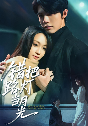 错把路灯当月光（40集）剧情简介