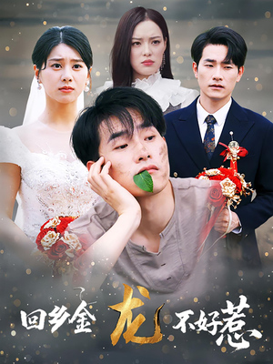 回乡金龙不好惹（74集）最热门短剧来了