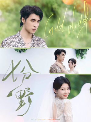 七分野（78集）免费观看就是爽