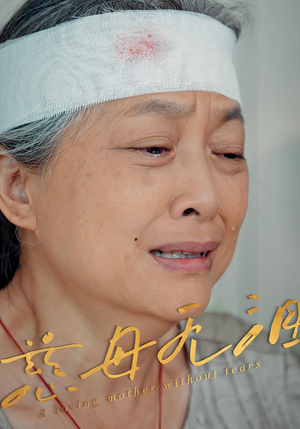 慈母无泪（30集）甜宠短剧追到爽