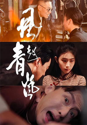 风起青岚（96集）番茄免费短剧