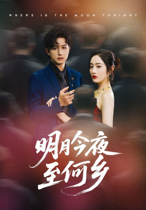 明月今夜至何乡（70集）全集我都看完了