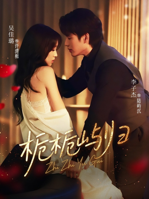 栀栀屿归（80集）全集完整版