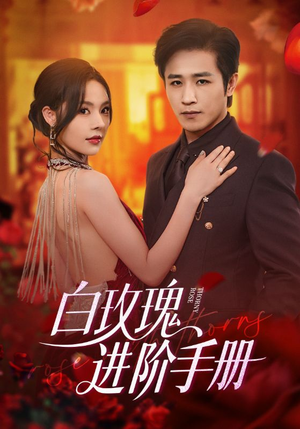 白玫瑰进阶手册（64集）第一集