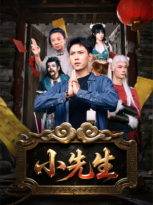 小先生（79集）在线看