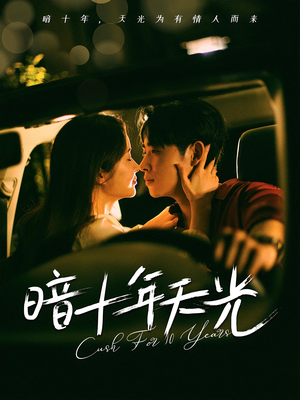 暗十年天光（81集）热门短剧大全