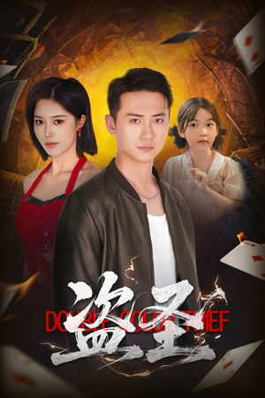 盗圣（63）在线观看完整版