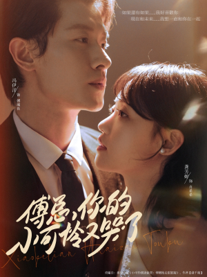 傅总你的小可怜又哭了（80集）分享热门短剧