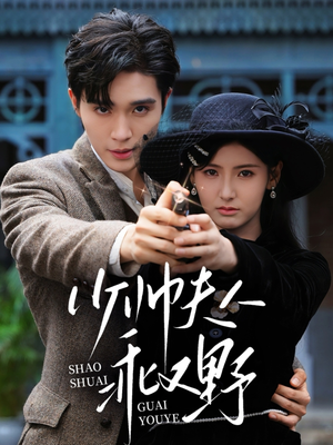 少帅夫人乖又野（84集）网盘在线观看