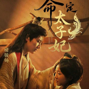 命定太子妃（63集）剧好看短剧推荐