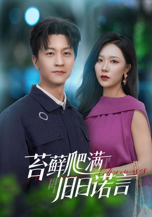 情途难负（83集）全集免费观看