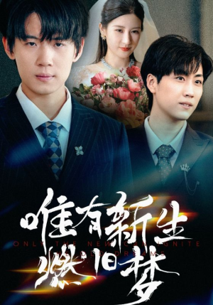 唯有新生燃旧梦（55集）精彩短剧合集