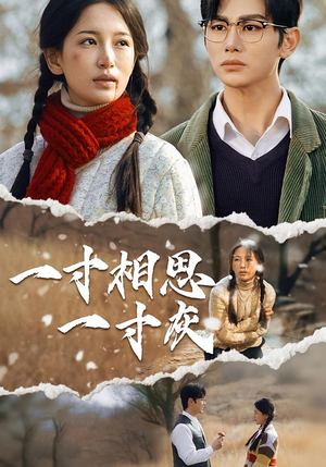 一寸相思一寸灰（43集）抢先看热门短剧