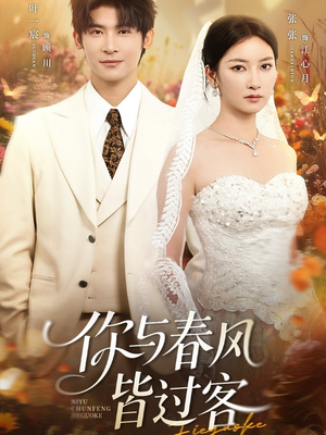 你与春风皆过客（66集）短剧上头又好看