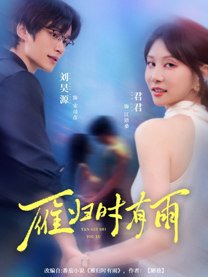 雁归时有雨（84集）不用花钱看全剧