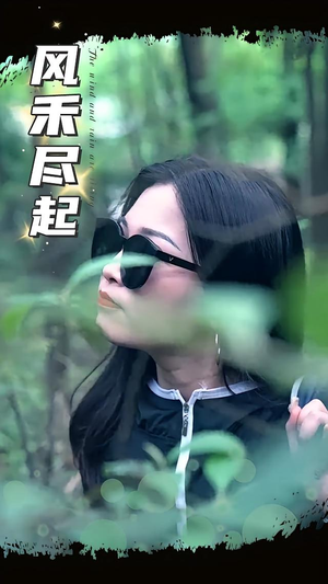 风禾尽起（31集）热播短剧全集看