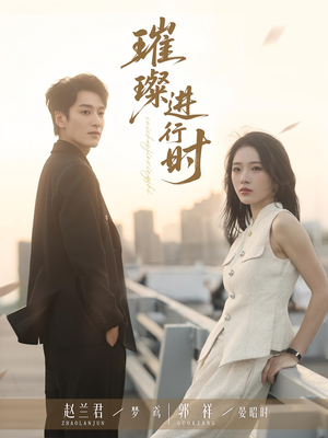 璀璨进行时（73集）经典老剧免费看