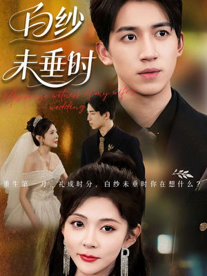 老婆婚礼我当证婚人(54集) 老婆婚礼我当证婚人(54集)真的太好看了