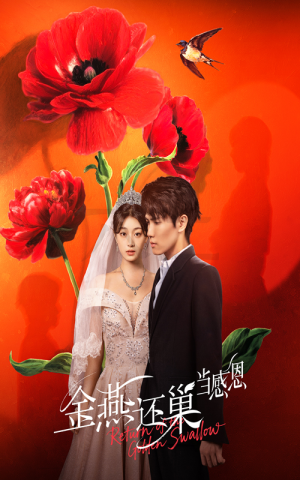 金燕还巢当感恩（55集）推荐你们也去看