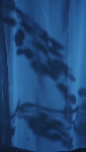 鸢尾盛开时恋她成瘾（20集）超好看的短剧