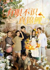 有眼不识真锦鲤（35集）短剧全集抢先看