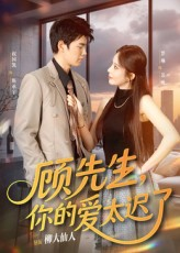 顾先生你的爱太迟了（60集）精彩短剧天天看