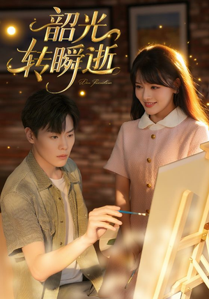 韶光转瞬逝（60集）在线观看全集