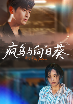 疯鸟与向日葵（40集）短剧全集完整