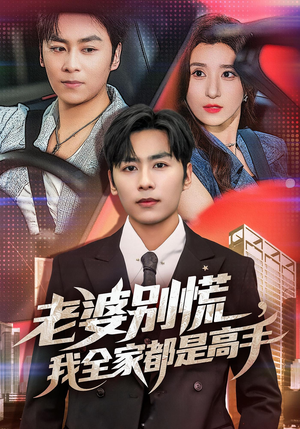 婆别慌我全家都是高手（58集）一口气看完全集