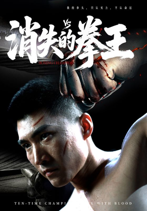 消失的拳王（72集）免费看