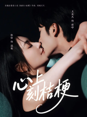 心上刻桔梗（90集）分享热门短剧