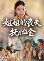 姐姐的丧夫抚恤金（40集）更新时间一览表