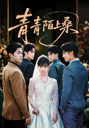 青青陌上桑（70集）追风的女孩短剧