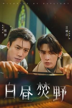 白昼焚野（70集）爆款短剧一起追