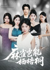 麻雀岂能栖梧桐（31集）免费在线看