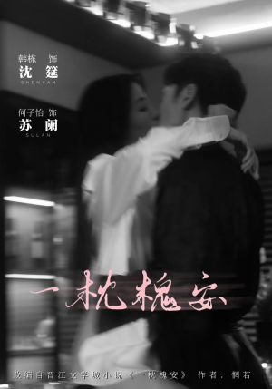 一枕槐安（80集）免费短剧看全集