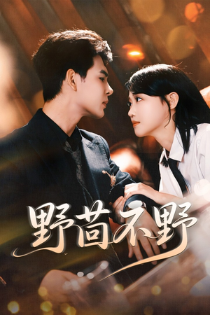 野茴不野（67集）百度在线观看